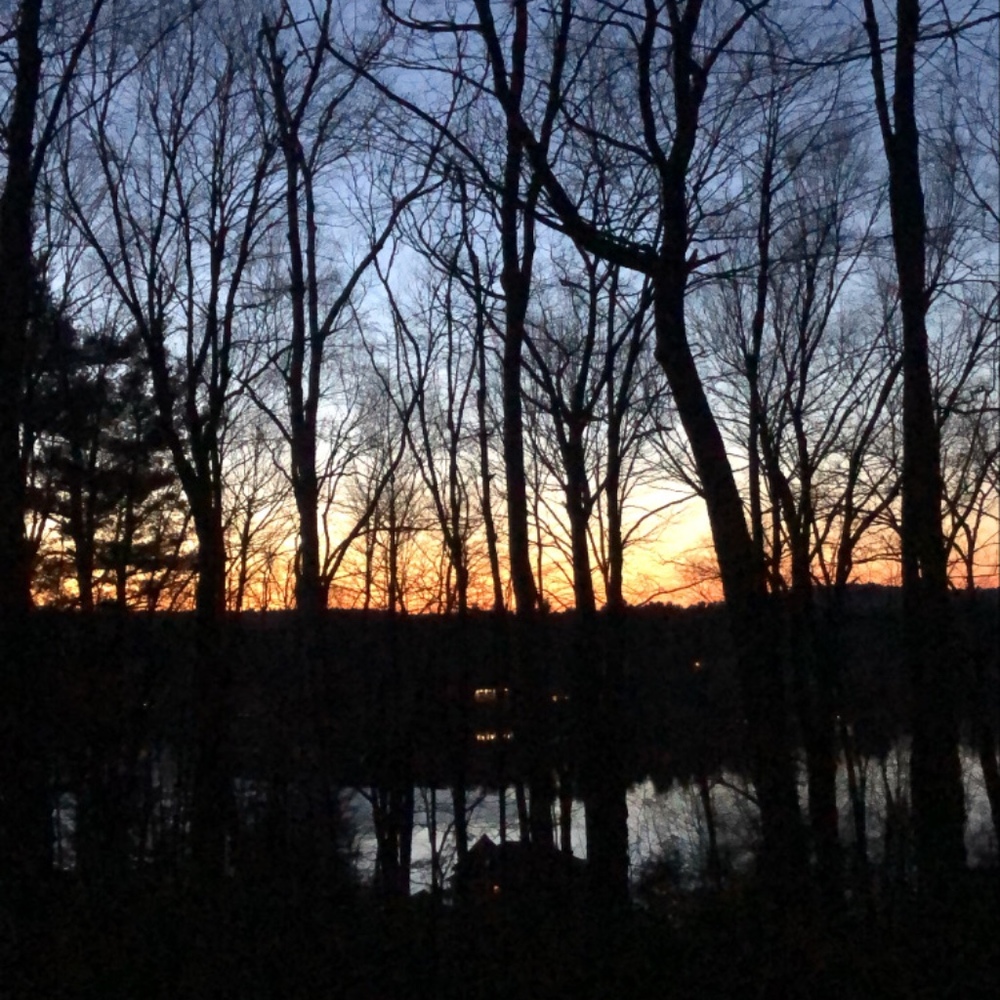 Meet your Posher, Linnea